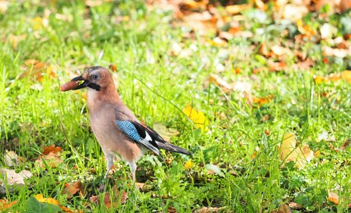 Новата седмица започва със слънце и дъжд