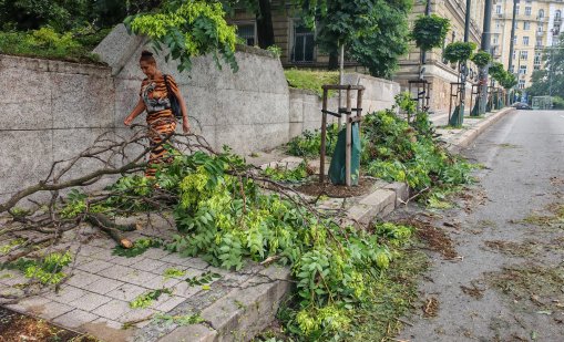 Нормализира се обстановката в София след вчерашната буря СНИМКИ