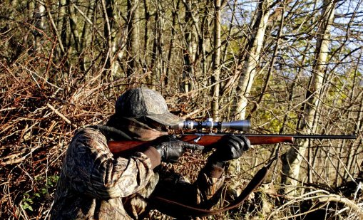 Стрелят по домашни кучета в Русенско 