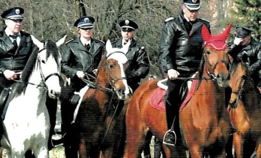 Пенсионират 11 коня от ескадрона на СДВР, продават ги на търг