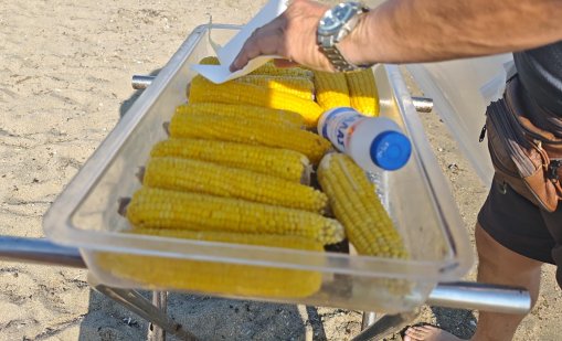 БАБХ затвори над 30 обекта по морето