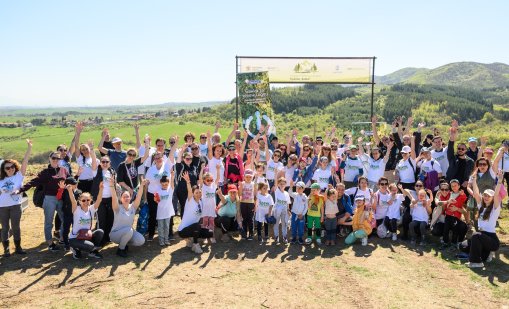 Доброволци от Пощенска банка засадиха стотици фиданки в &bdquo;Новата гора на София&ldquo;