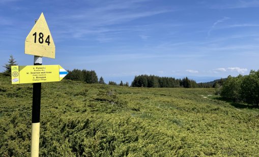 МОСВ прекрати процедурата по разработване на Актуализация на парк "Витоша"