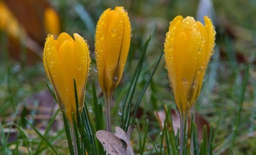 Облачно време и утре, на места ще превалява дъжд