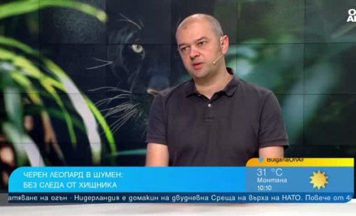 Нова теория: Хищникът от Шумен дошъл от Унгария? 