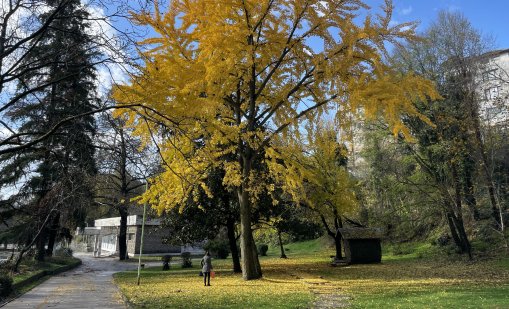 Облачно и тихо време в сряда, сутринта в низините ще има мъгли