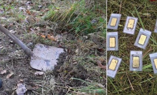 Mъж откри златни кюлчета, докато коси тревата в двора си 