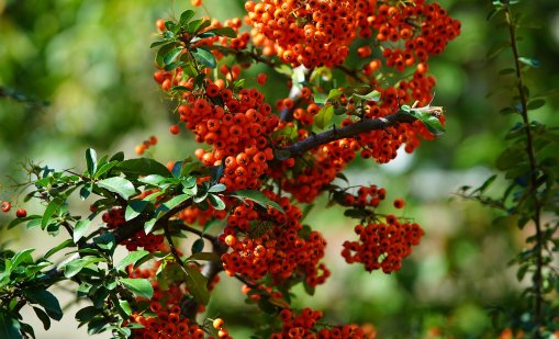 Слънчево ще е днес, температурите ще са до 22°
