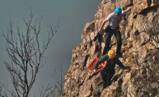 Безпрецедентна акция: Спасяват бедстващи овце в 300-метрова бездна край Кърджали 