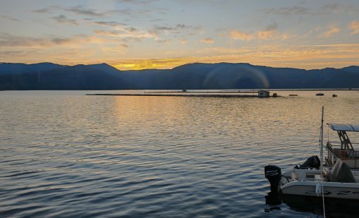 Спасиха двама работници, бедстващи на багер заради повишеното ниво на река Арда 