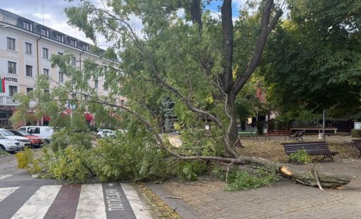 Ураганен вятър в Сливен рани мъж и преобърна камиони