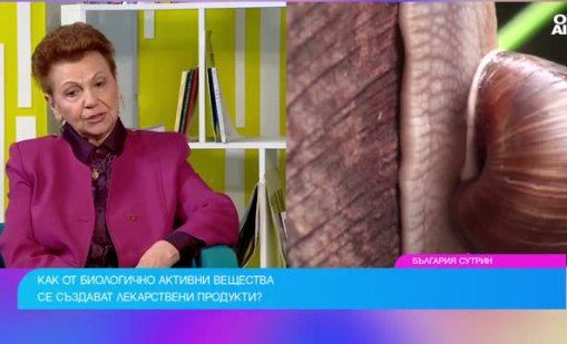 Българският охлюв става все по-ценна суровина за лекарства