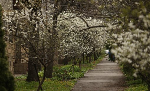Времето утре: Сутрешни слани, облаци и дъжд през деня