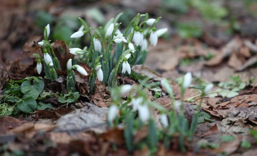 13,9 градуса бяха измерени в Ловеч 