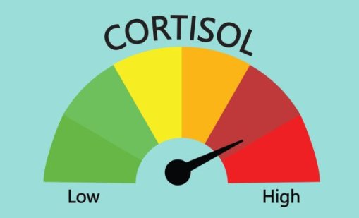 Бързи трикове за намаляване на кортизола