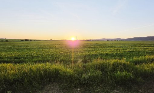 Слънчево ще е днес, ще превали само на места в планините