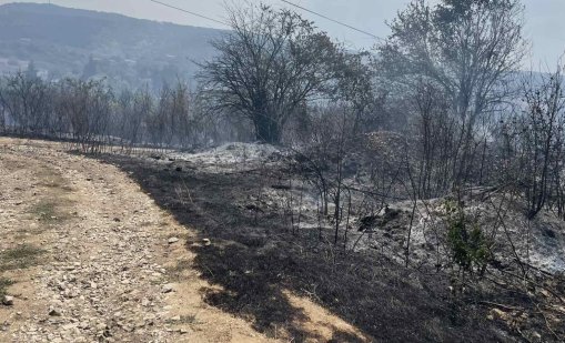Постройки пламнаха във вилната зона на Мездра (СНИМКИ)
