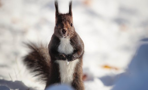 Днес е било най-студеното утро от началото на зимата КАРТА