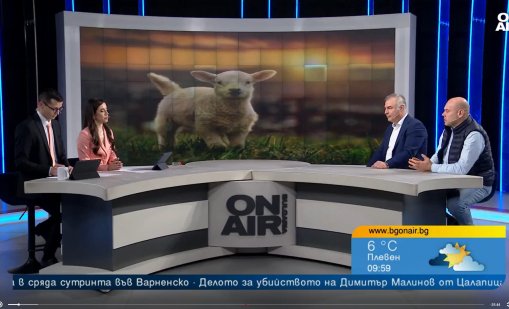 За Великден: Български яйца има, родното агнешко не е достатъчно