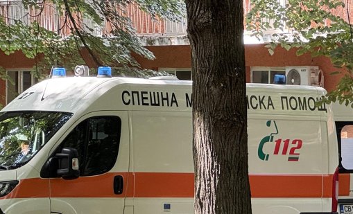 Домашно куче нахапа дете на улица в Казанлък