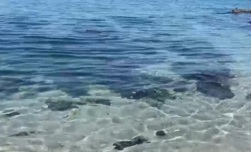 Жена от Бургас се удави на Централния плаж в града