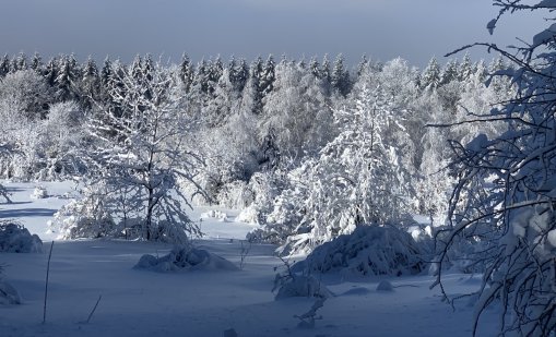 Времето утре: Затопля се, къде ще вали сняг?