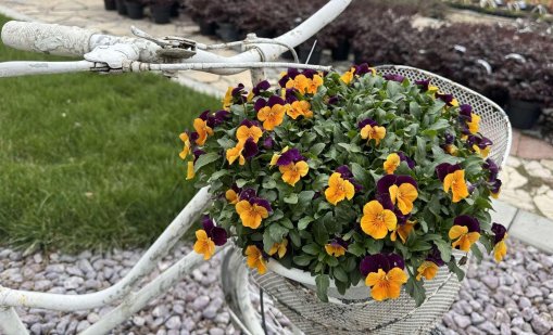 Слънчево ще е утре над по-голямата част от страната 