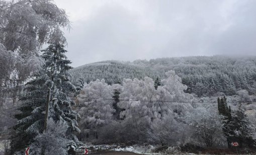 Мистерията "Петрохан": Поръчково убийство, паравоенна организация, връзки с Украйна?