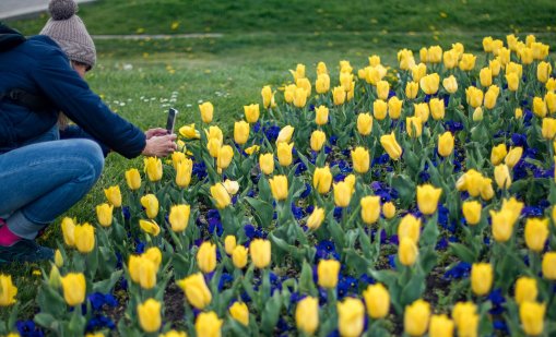 Времето днес: Последен ден слънчево, идват валежи