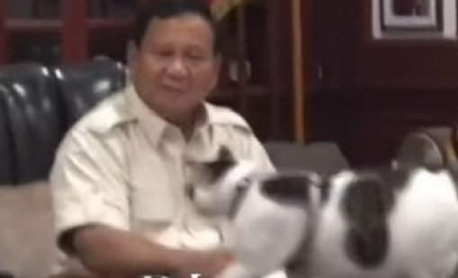 Котаракът на индонезийския президент е официално под държавна закрила