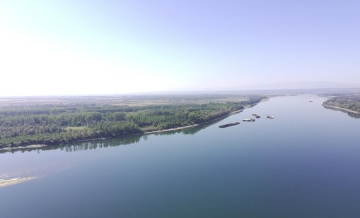 Дунав е в застой в българския участък