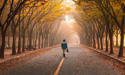 По 4000 крачки на ден намаляват риска от ранна смърт с 40%