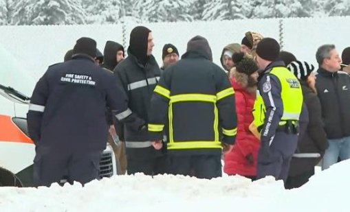 Жертвите, открити в "Петрохан", били простреляни в главата, появи се версия за "дървената мафия"