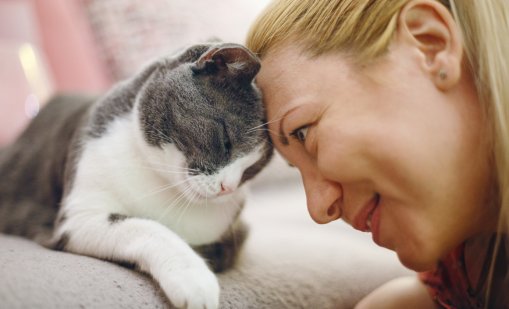 Зодиите, които имат специална връзка със животните