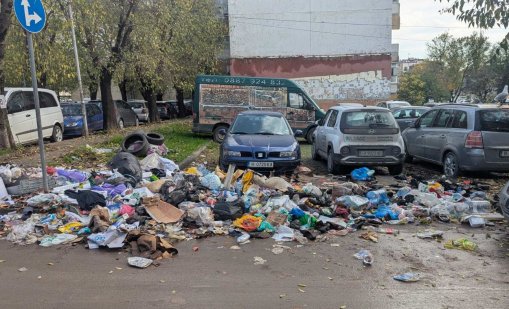 Сметище във Варна: Миризмата е нетърпима, гларуси и кучета разнасят боклука