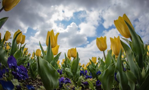 Очаква ни слънчево време до края на седмицата