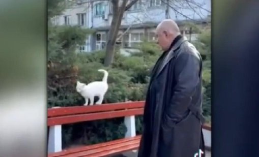 Пеене, музика... Колоритът на изборната кампания