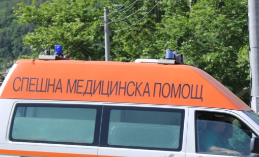 91-годишен мъж е в болница след нападение от кучета