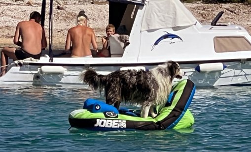 Космически цени по морето в Хърватия: 11 евро за аперол, 5 евро за кафе