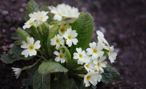 Температури до 17 градуса ни очакват днес