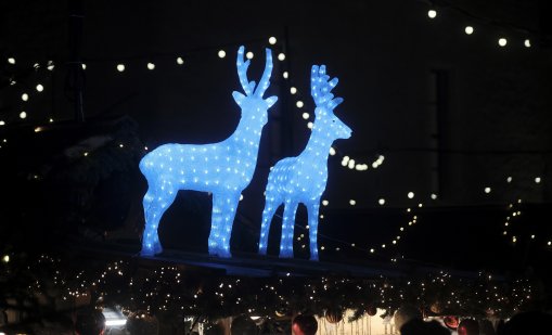 AI измами туристи, че пред Бъкингамския дворец имало коледен базар