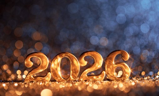 Честита Нова година! Да е здрава, щастлива и много поводи за усмивки и наздравици!