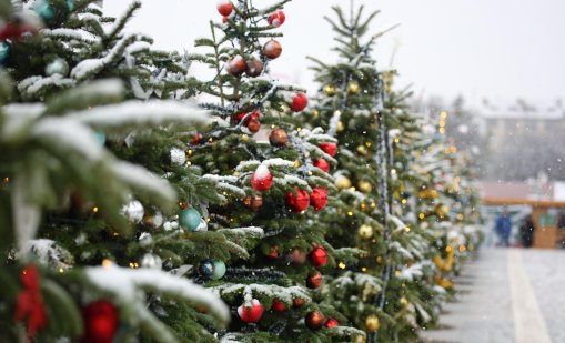 Вятърът отново се усилва утре, студ на Нова година