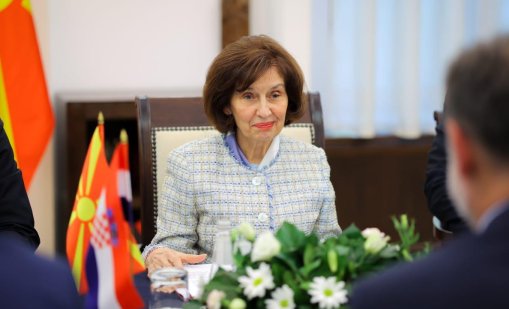 Силяновска: Резолюцията на българския парламент е обидна