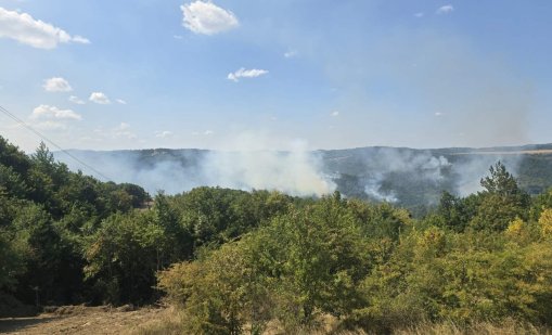Свидетел на взрива: Видя се жълт дим, замириса на барут