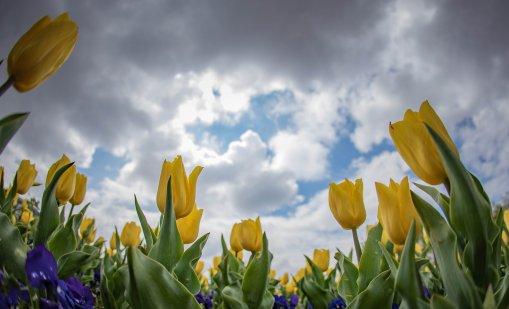 Силен вятър утре, но градусите се покачват