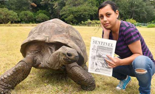 Смъртта на костенурката Джонатан &ndash; най-зловещата първоаприлска шега