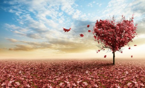 Венера влезе в Скорпион, какво чака зодиите?