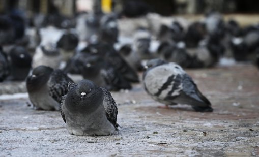 Предимно слънчево ще е днес