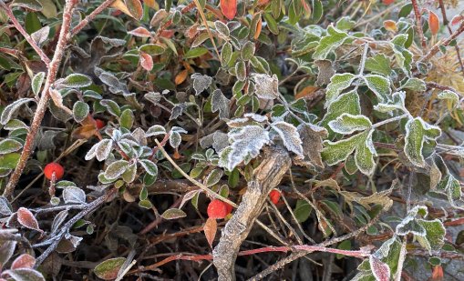 Неделната сутрин ще е мъглива в Дунавската равнина и в котловините